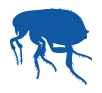 flea and bed bug treatment services